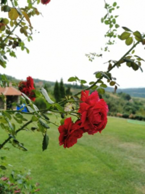 Domaćinstvo Sinđelić